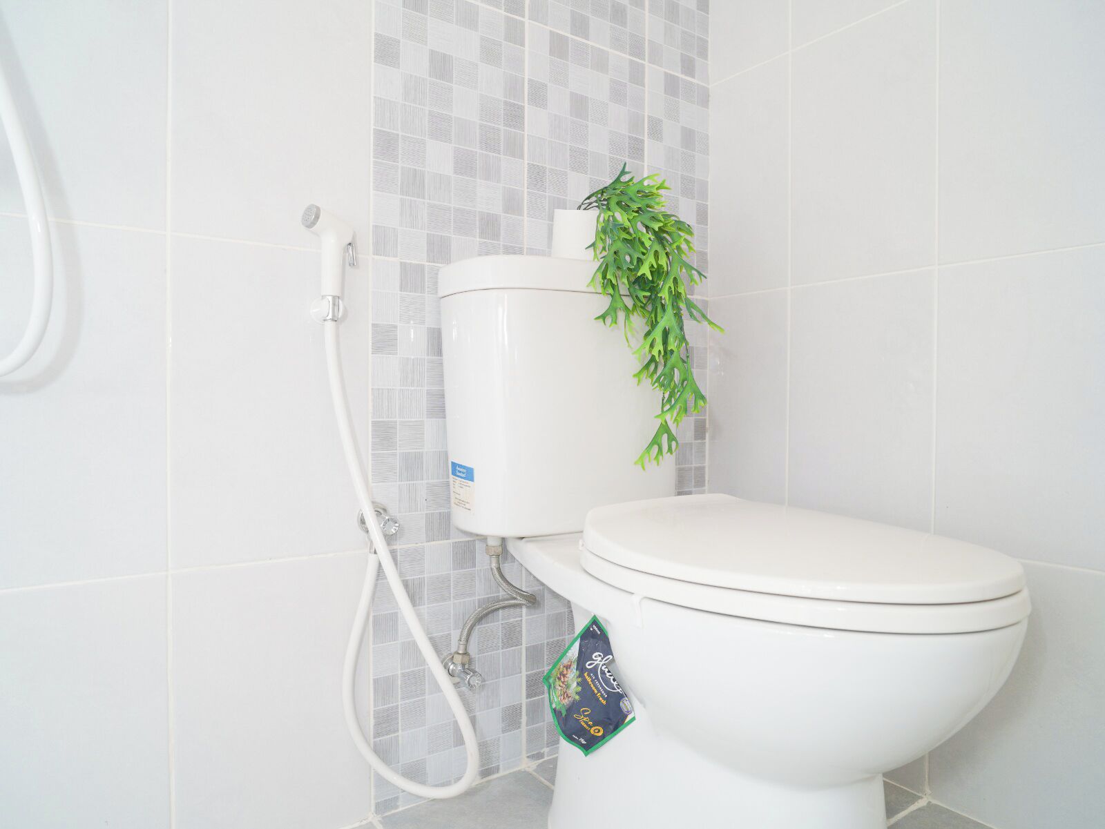 Une salle de bain équipée de toilettes, d’une douche et d’une plante fixée au mur.