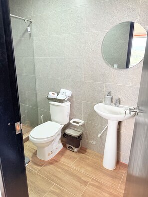 Shower, towels, soap, toilet paper