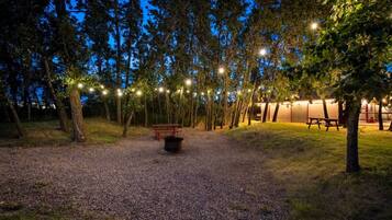 Un chemin de gravier mène à un banc en bois, entouré d’arbres, et des guirlandes lumineuses sont suspendues au-dessus.