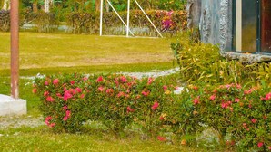 A tropical garden with a soccer goal, lush greenery, and a building with a unique facade. - Puerto Quito Lodge - Mon Par (Puerto Quito)