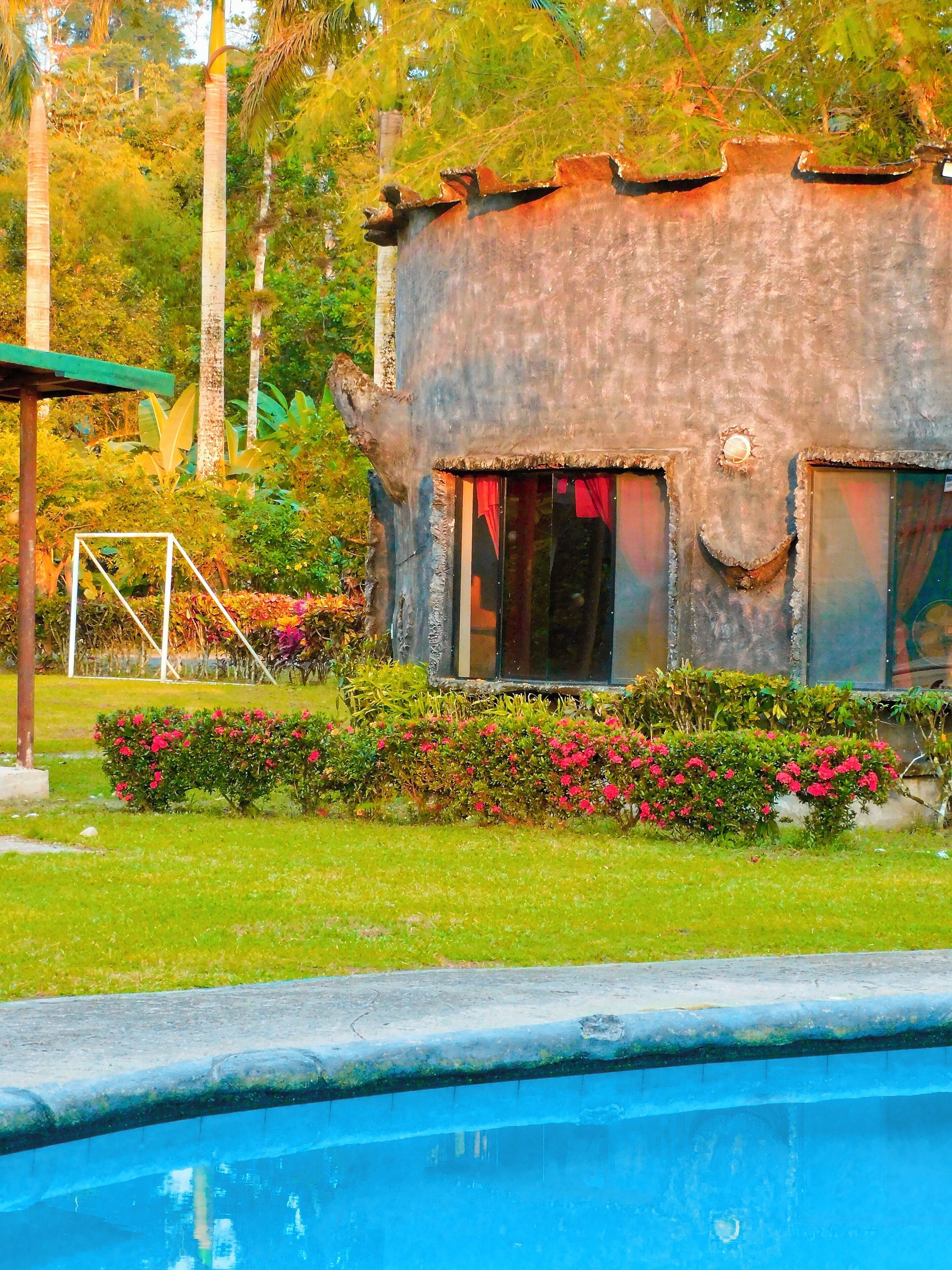 Outdoor pool, open 9:00 AM to 9:00 PM, pool umbrellas, sun loungers