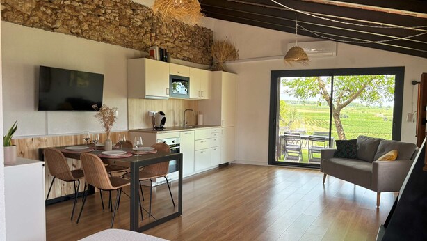 Una cocina moderna con pared de piedra, un comedor con mesa y sillas, y una sala de estar con sofá y vistas a un viñedo.