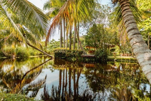 Dreamer Economy Room