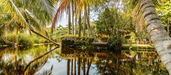 ดรีมเมอร์ อีโคโนมี รูม