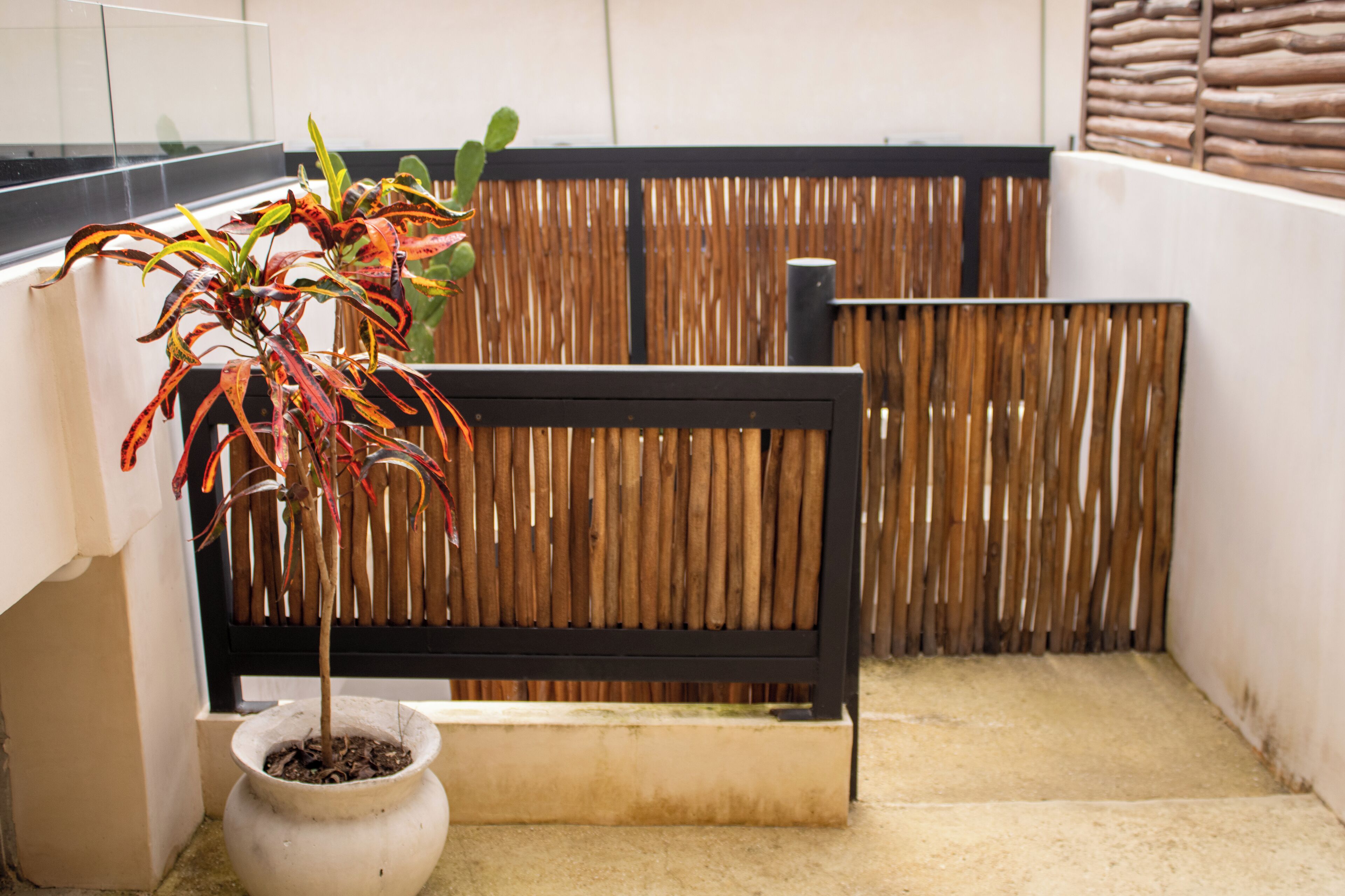 A small outdoor area with a potted plant, a wooden bench, and a bamboo fence.
