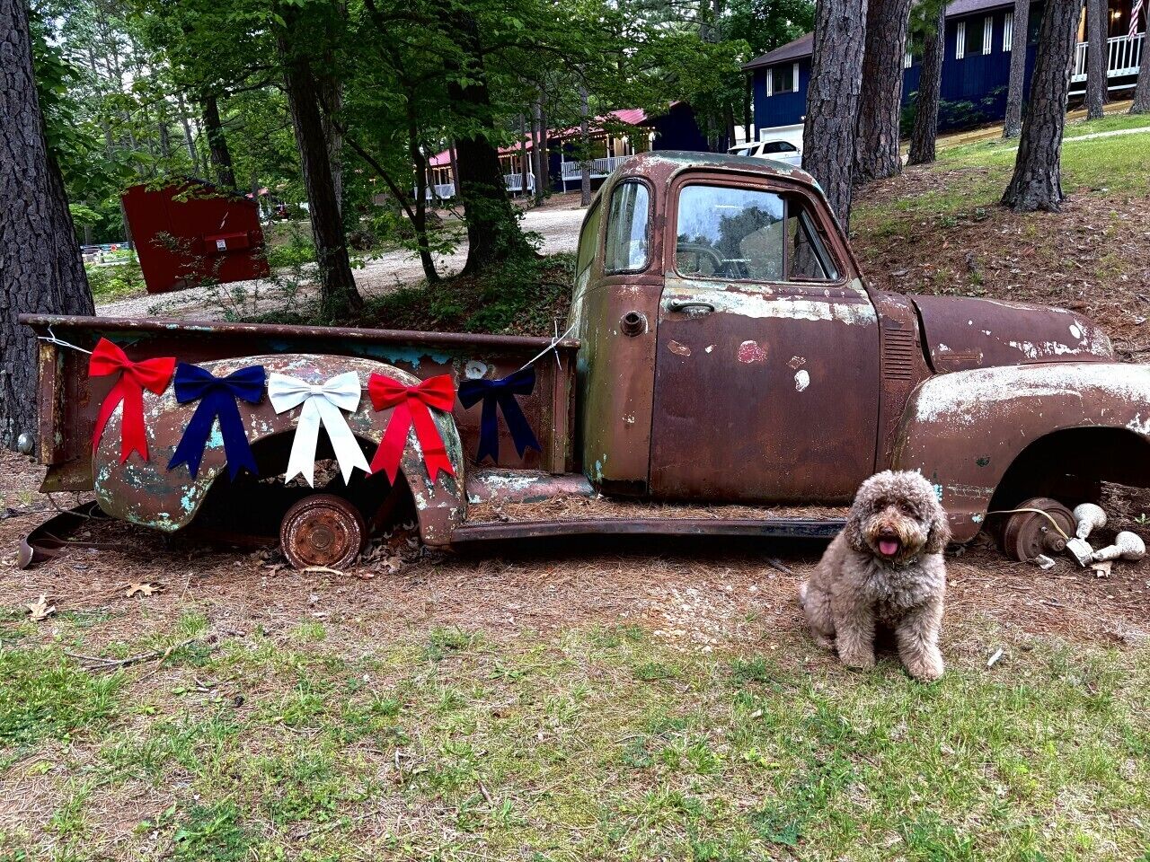 A vintage truck with a dog sitting beside it.