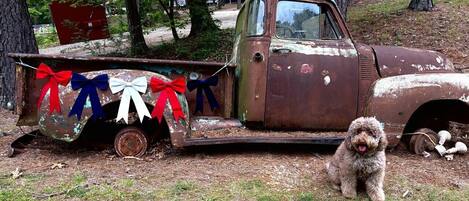 A vintage truck with a dog sitting beside it.