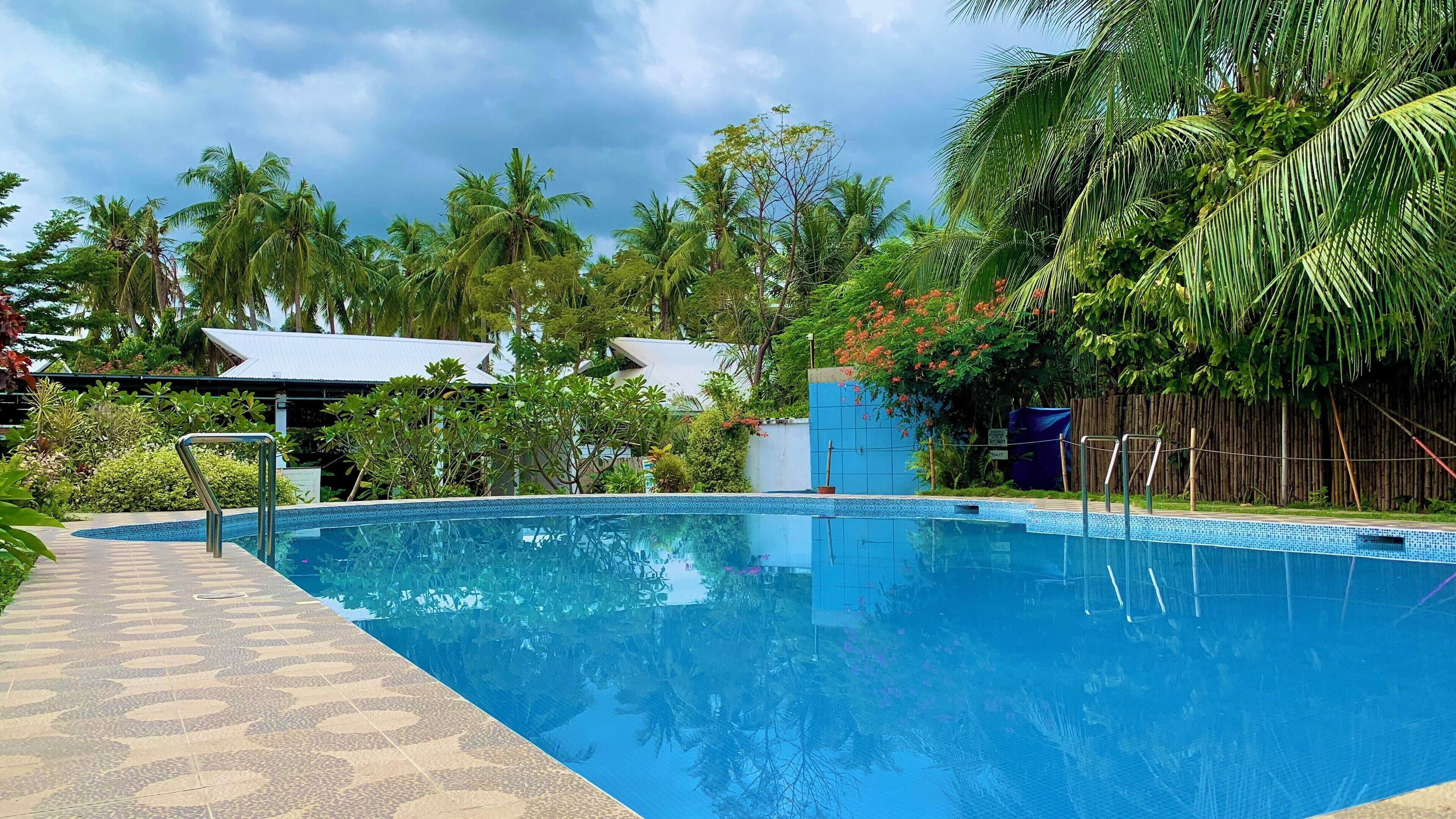 Une piscine dotée d’une terrasse carrelée, entourée d’une végétation luxuriante et de palmiers.