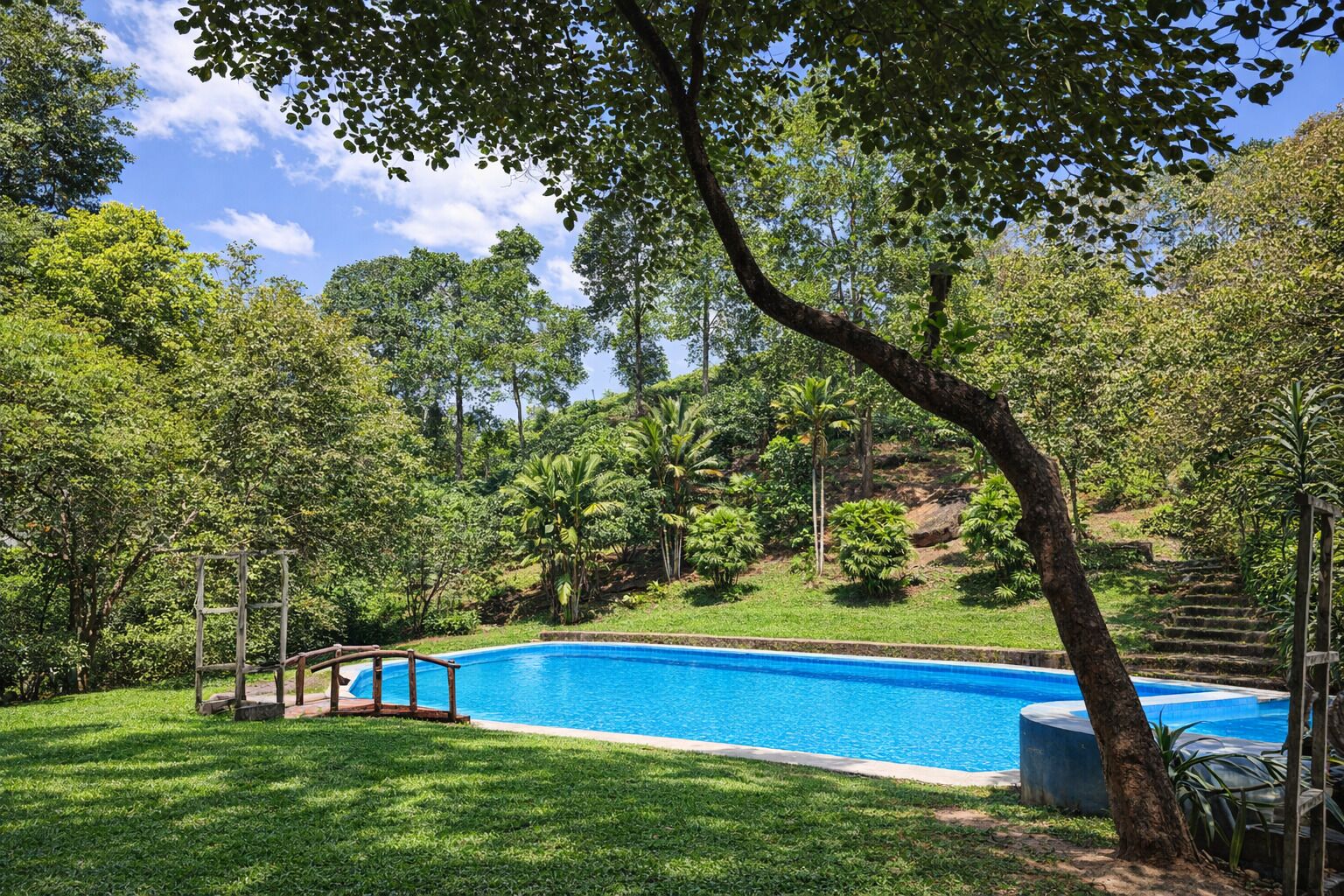 Piscina rodeada por vegetação exuberante e um deck de madeira.