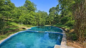 Une piscine aux contours nets et incurvés, entourée d’une végétation luxuriante et d’arbres.