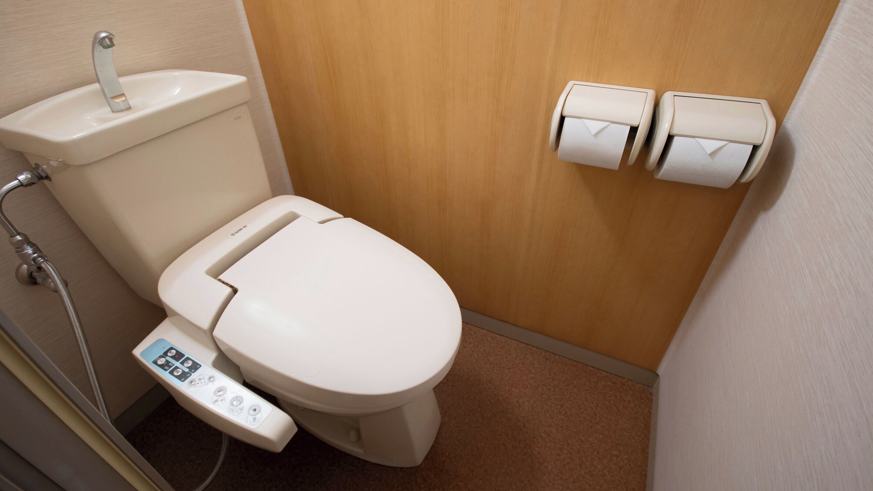 Eine moderne Toilette mit Bedienfeld, Duschbrause und Toilettenpapierhalter.