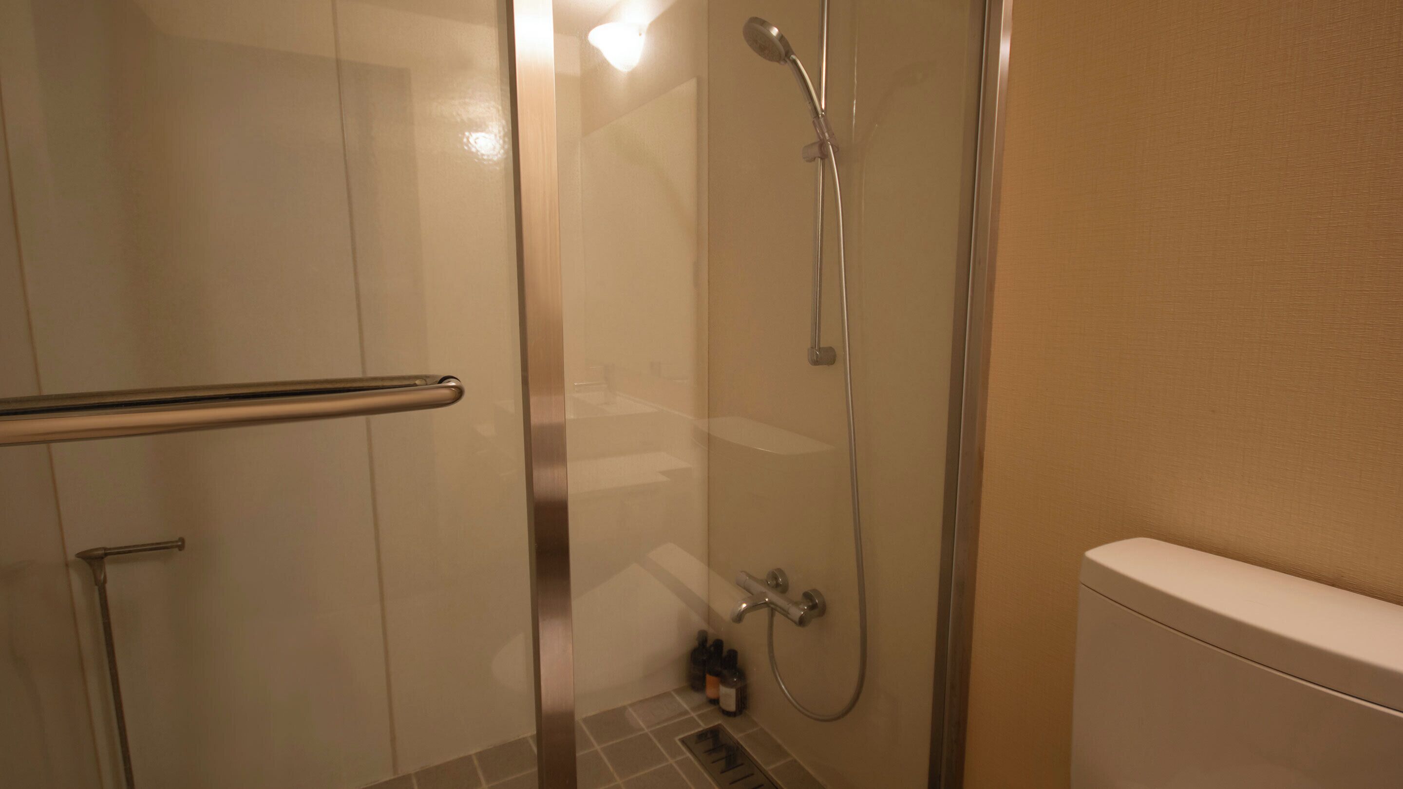 A shower with a glass door, a handrail, and a toilet.