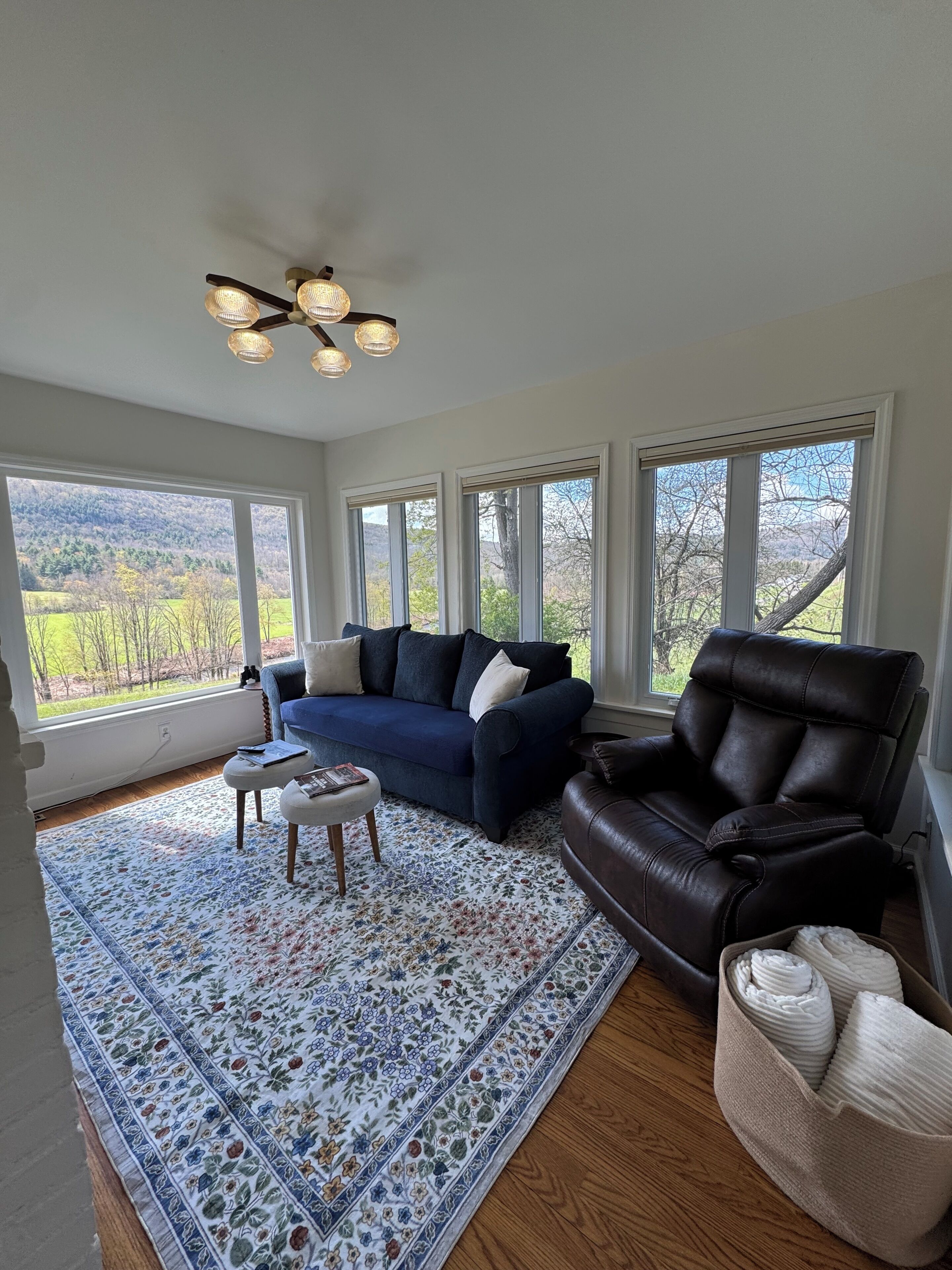 Smart TV, fireplace, DVD player, books