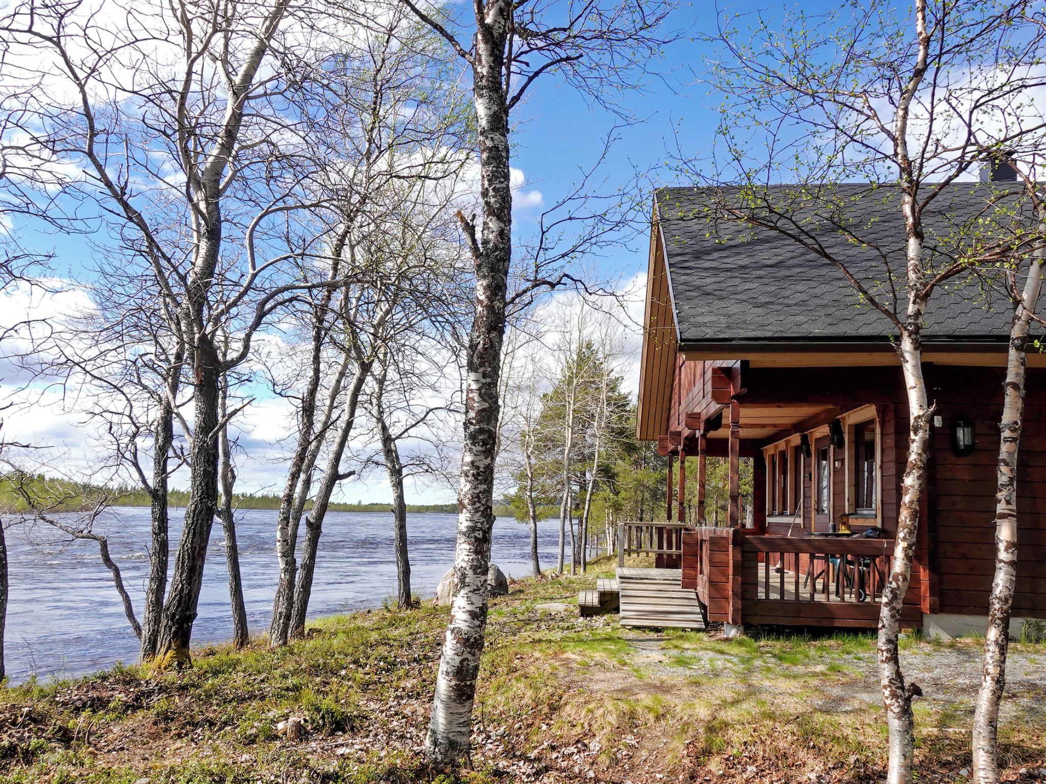 A cabin with a wooden deck overlooking a lake, surrounded by birch trees.