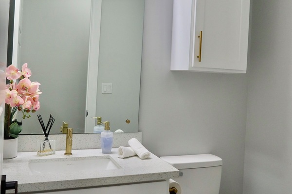 Secadora de cabello, toallas, jabón, papel de baño
