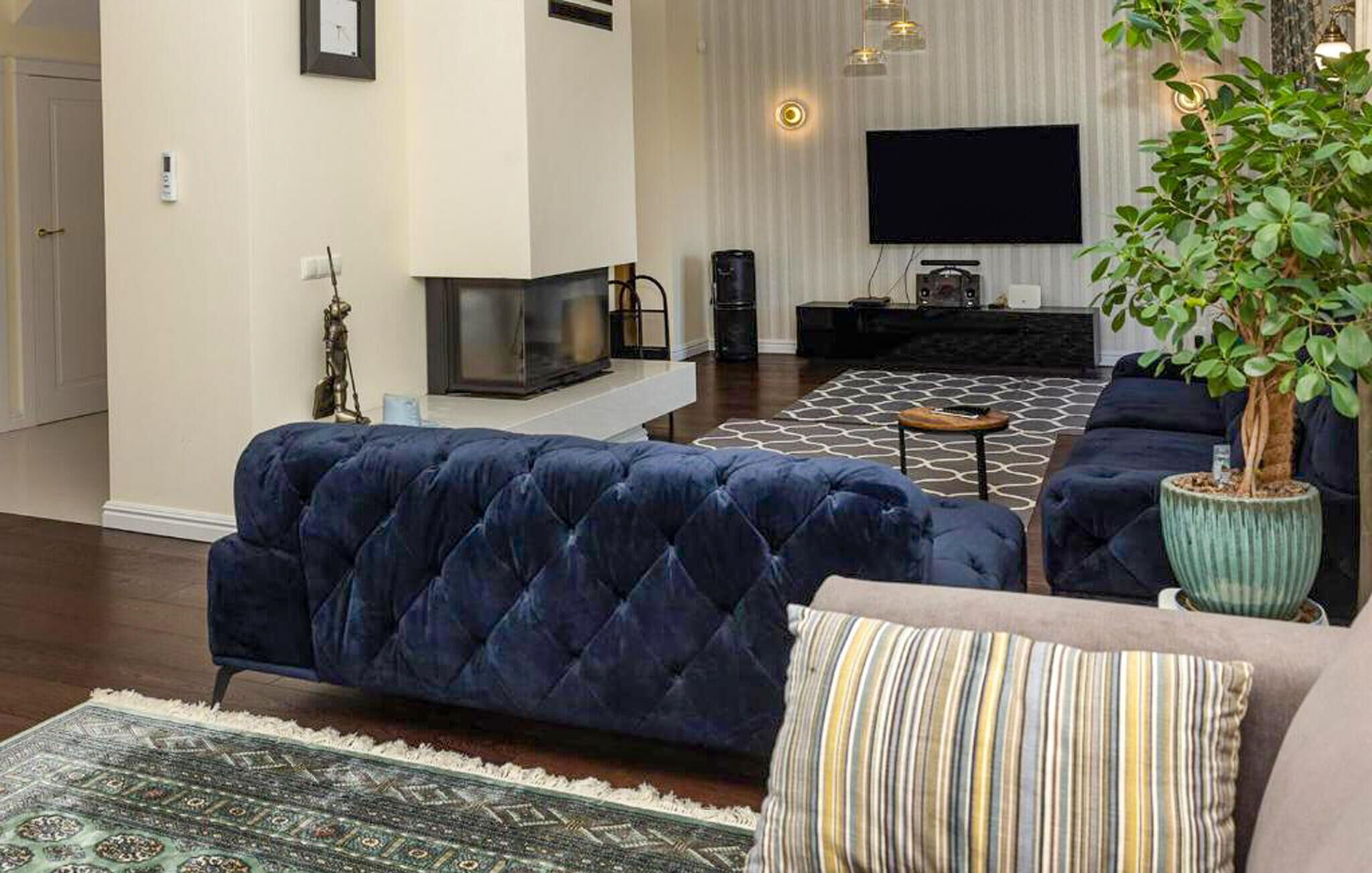 A living room with a dark blue sofa, a patterned rug, a striped pillow, and a potted plant.