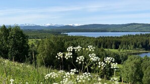 A mountainous landscape with a lake, dense forests, and snow-capped peaks in the distance.