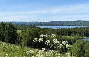 Sekalaista