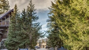A lodge entrance with a sign reading "Sandance," surrounded by tall evergreen trees and a clear sky.