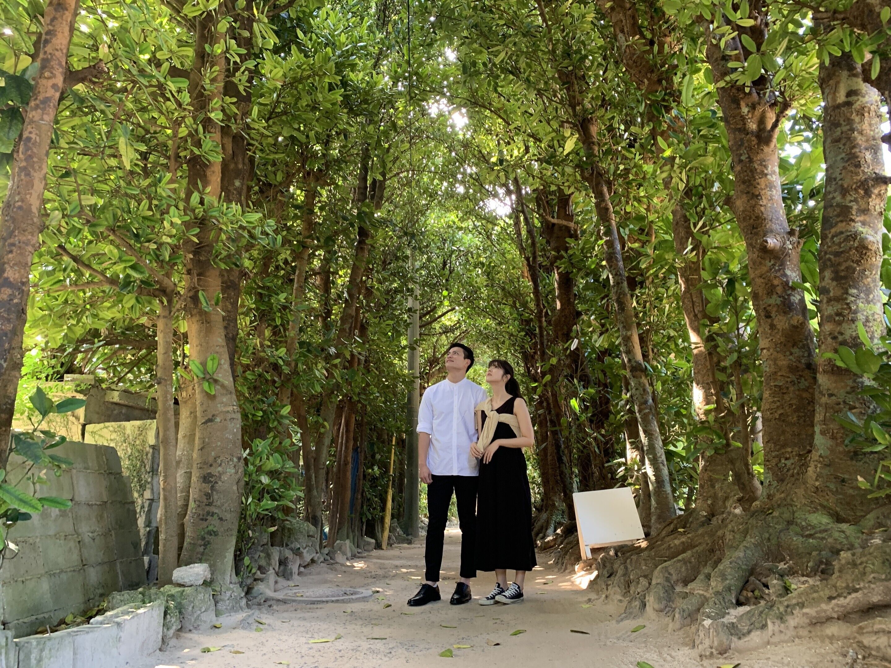 Un chemin bordé d’arbres et flanqué d’un mur de pierres, qui mène à un tableau blanc.