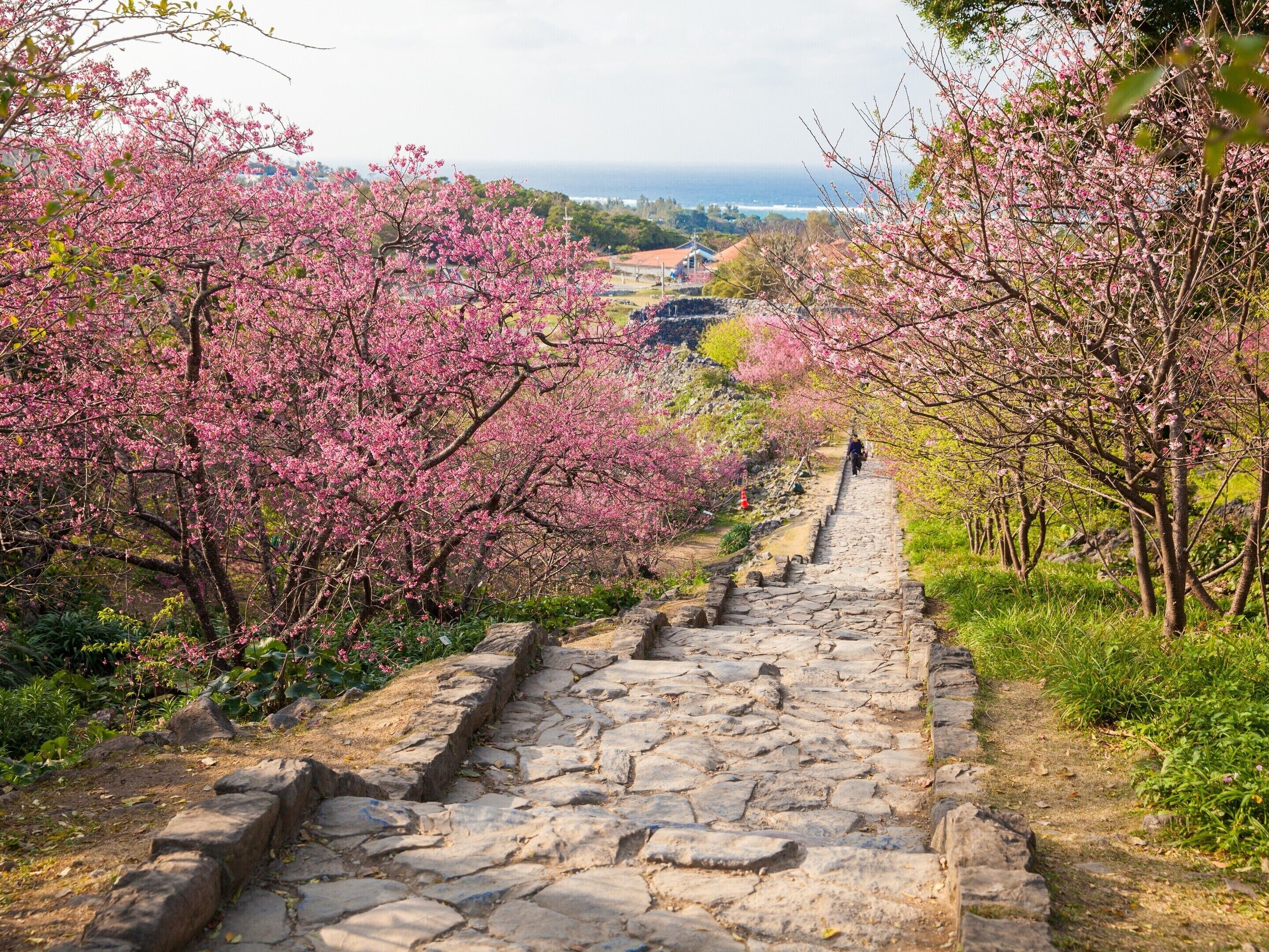 住宿城景