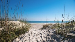 Playa en los alrededores 