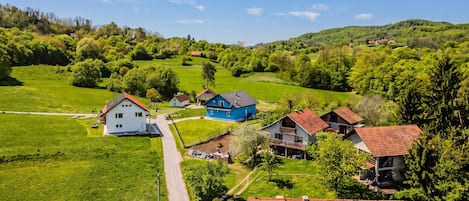 A rural landscape with a road, green fields, and several houses with red roofs.