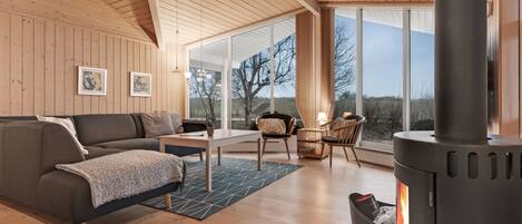 Télévision, cheminée