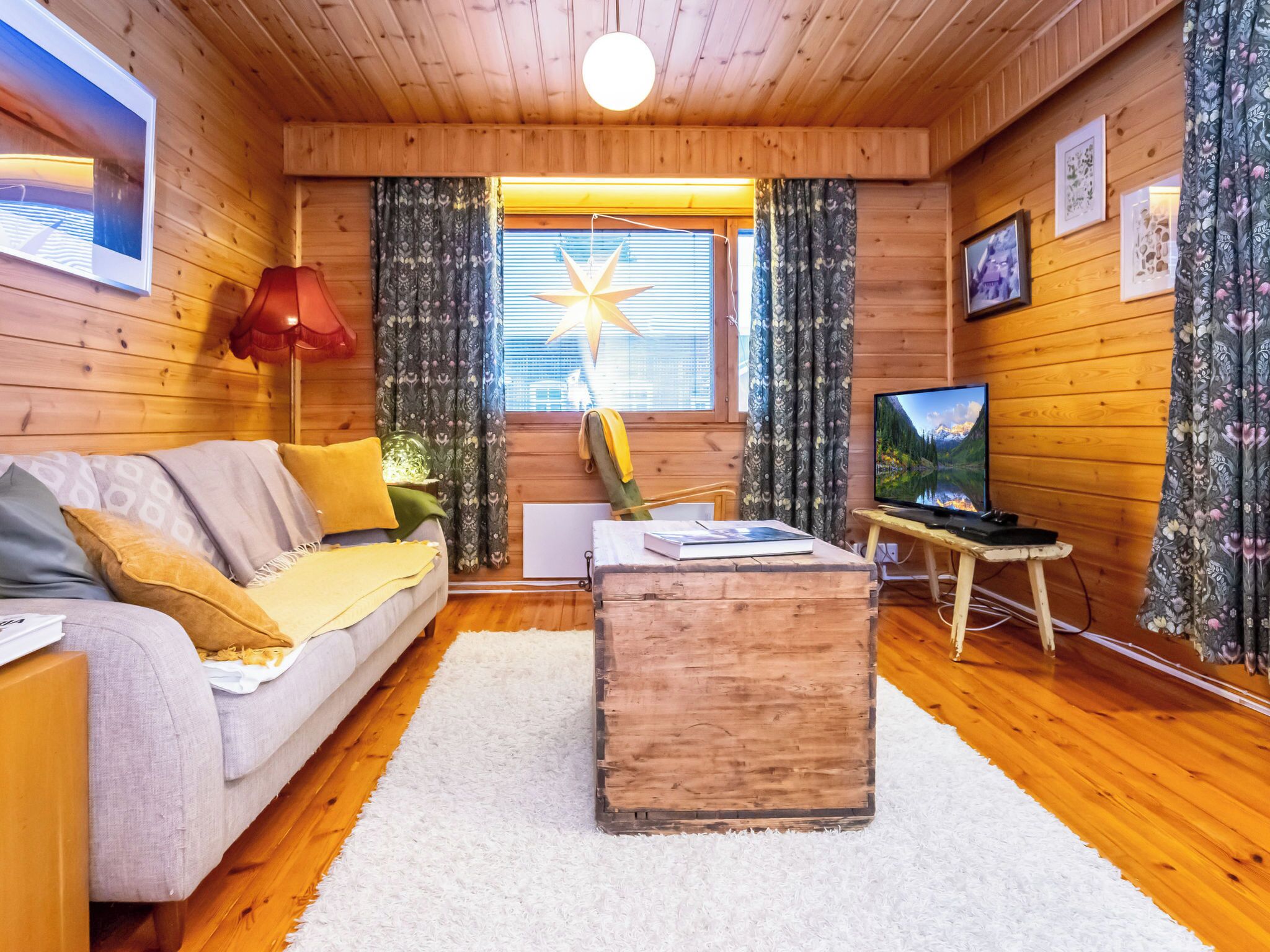 电视、DVD 播放器