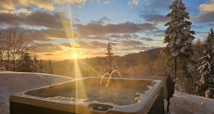 Exclusive holiday home with jacuzzi and pool table