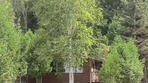 Mökki, jossa on terassi, ja sen ympärillä on puita ja lampi.