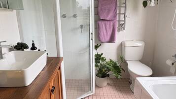 Hair dryer, towels, soap, toilet paper