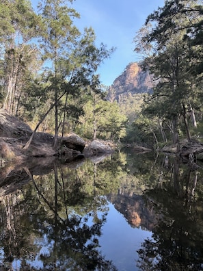 Une rivière paisible où se reflètent les arbres, avec une montagne en arrière-plan.