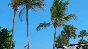 Ein Strandloungebereich mit Liegestühlen, einem Pool und einer Strandhütte.