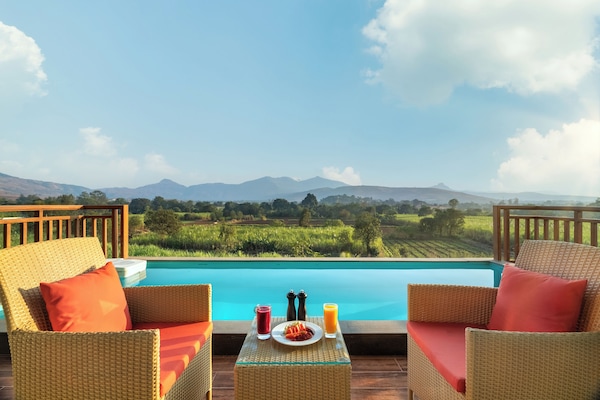 Outdoor pool, pool umbrellas, pool loungers