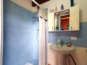 Shower, hair dryer, bidet, towels