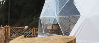 The Zukhara - A Luxury Glamping Dome Resort in Narkanda
