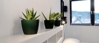 Appartement 'Weitblick' avec vue sur la montagne – nature, calme et aventure