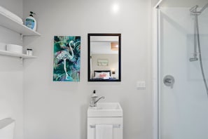 Shower, hair dryer, towels
