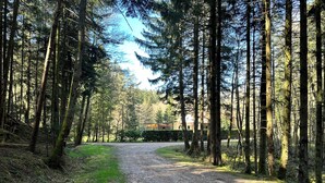 A forested area with a gravel path leading to a building. - L'écrin de la forêt (Jeanménil)