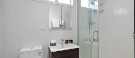 Shower, hair dryer