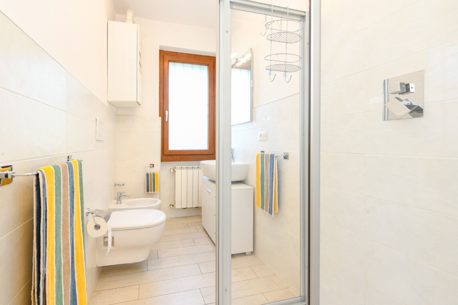 Shower, hair dryer, bidet, towels
