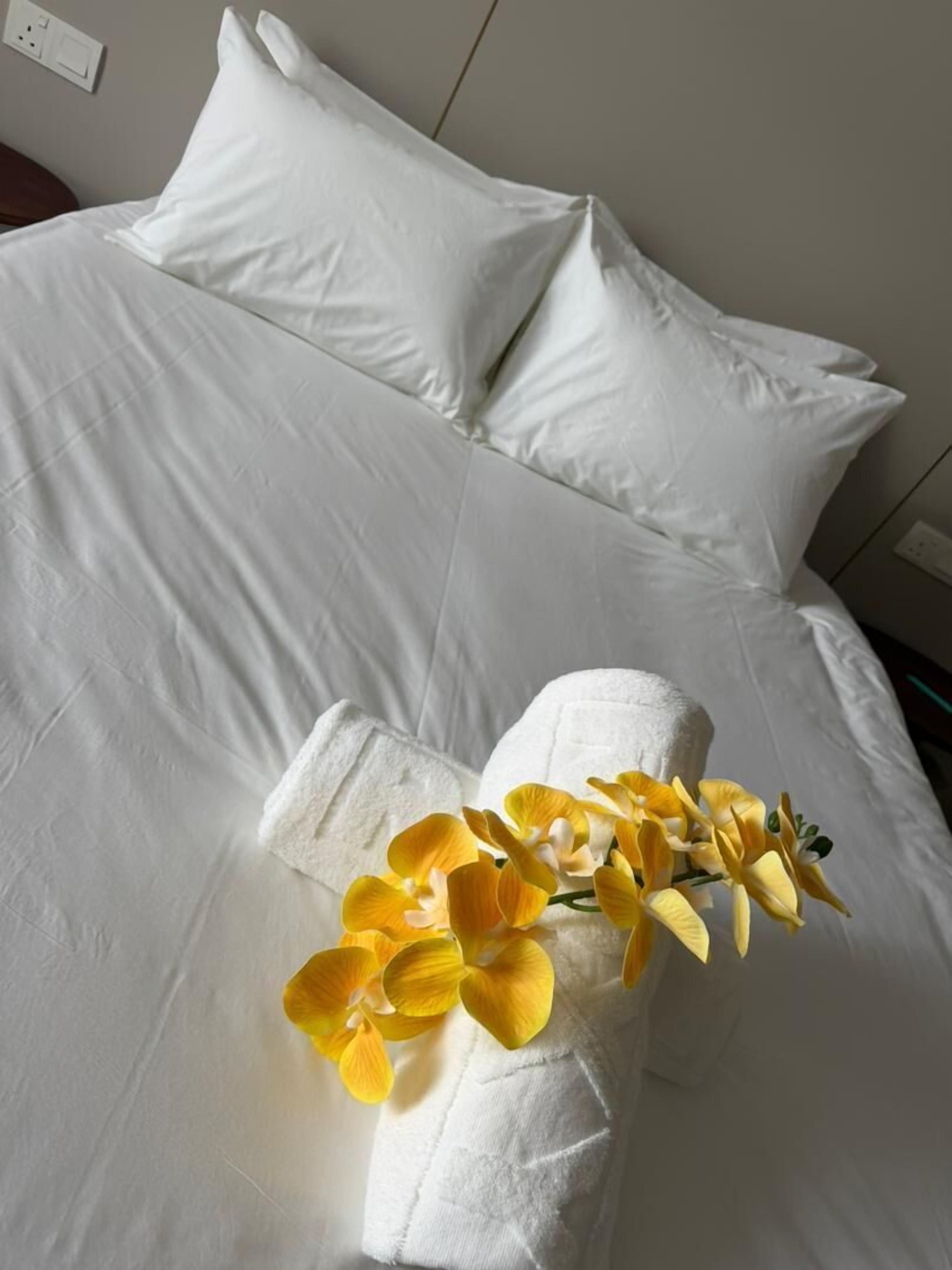 Habitació doble Deluxe | Planxa i posts de planxar 