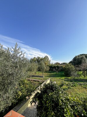 Property grounds - Casa Gli Allori - Iglesias (Iglesias)