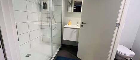 Un baño con ducha de vidrio, lavamanos y retrete.