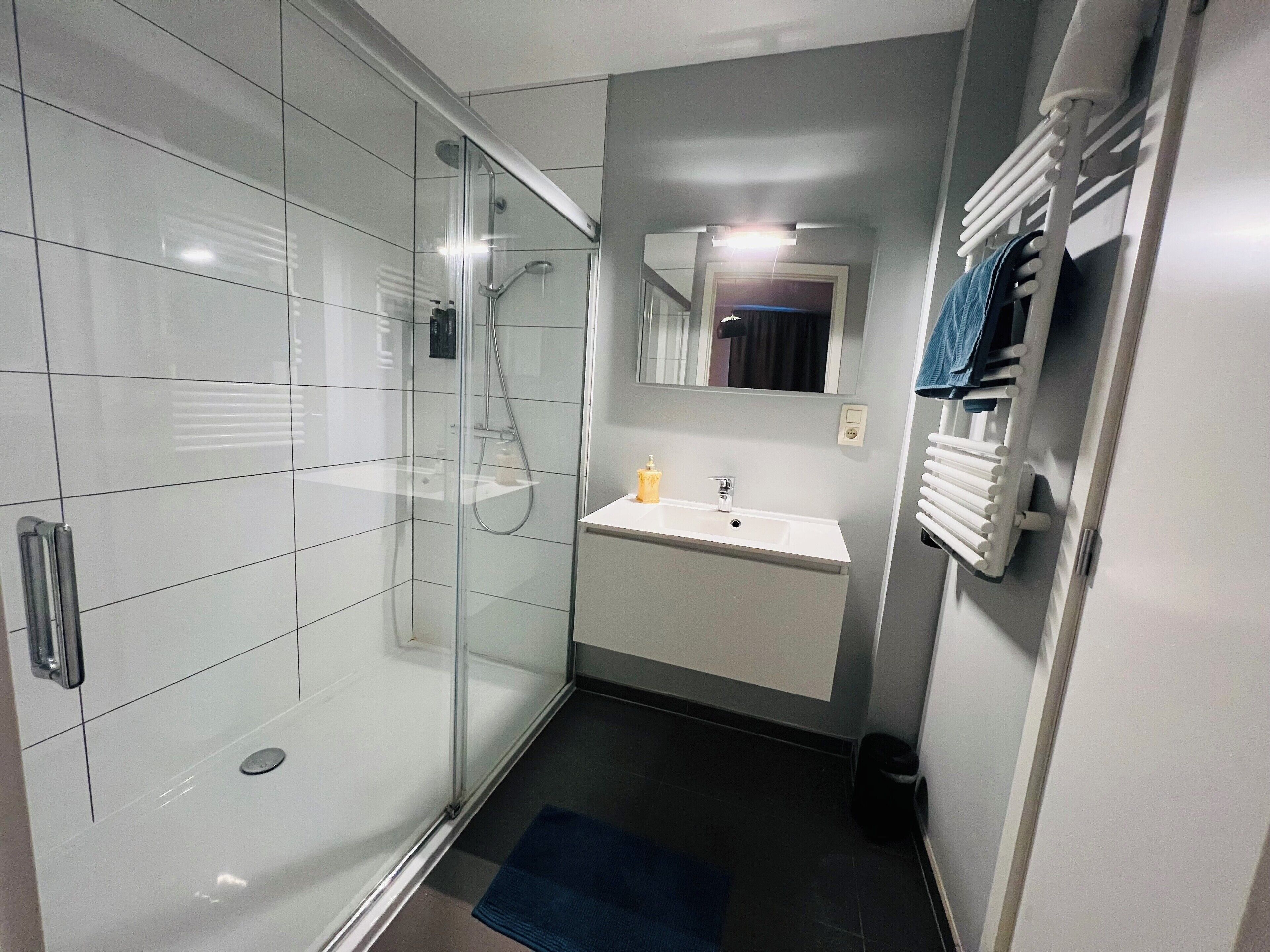 Standard Family Room | Bathroom | Towels, soap, shampoo, toilet paper