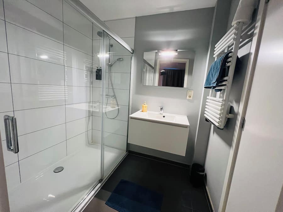 Standard Family Room | Bathroom | Towels, soap, shampoo, toilet paper