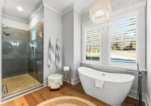 Shower, hair dryer, towels