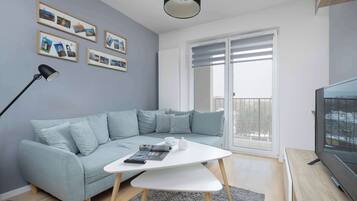 Fernseher, Arbeitsbereiche