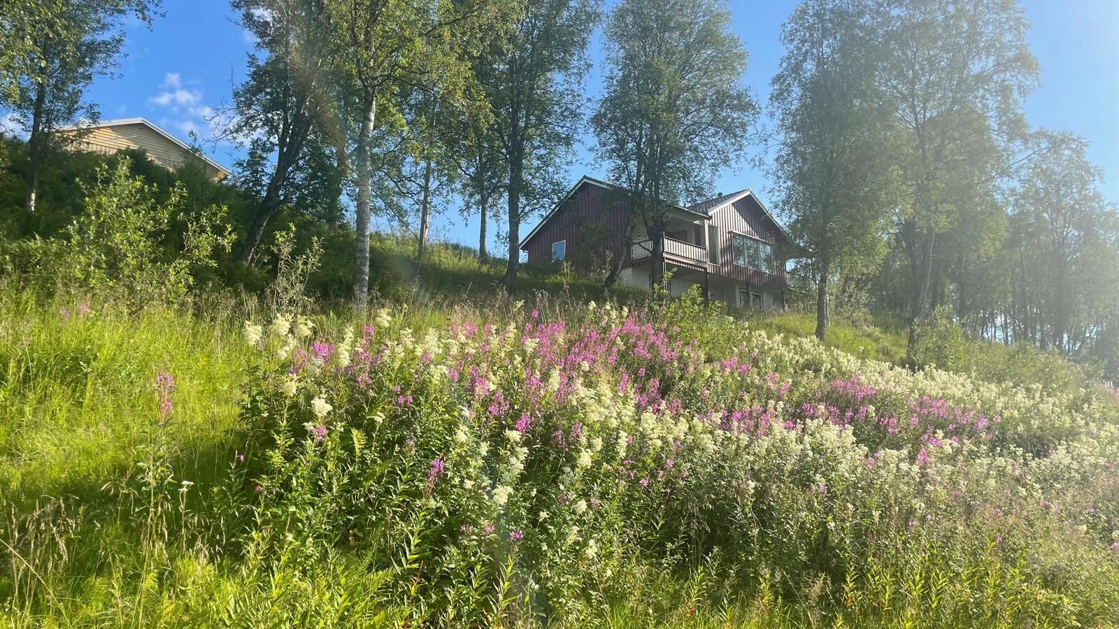 Eksteriør